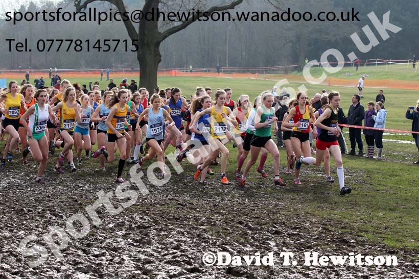 Start of the of the under-17 womens Inter Counties Cross Country, Cofton Park, Birmingham. Photo: David T. Hewitson/Sports for All Pics
